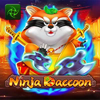 NINJA RACCOON