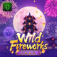 WILD FIREWORKS