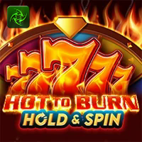 HOT TO BURN HOLD AND SPIN