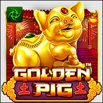 GOLDEN PIG