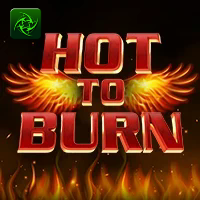 HOT TO BURN